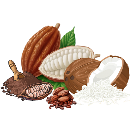 A selection of Prime Food coconut and cocoa products